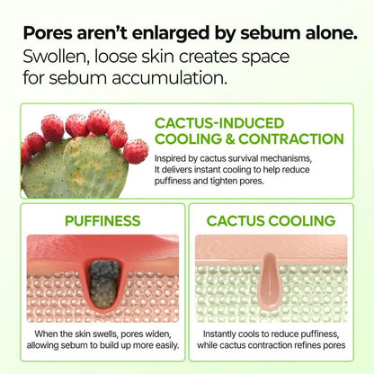 🌵Cactus Cooling Multi Balm for Pore Tightening and Skin Repair